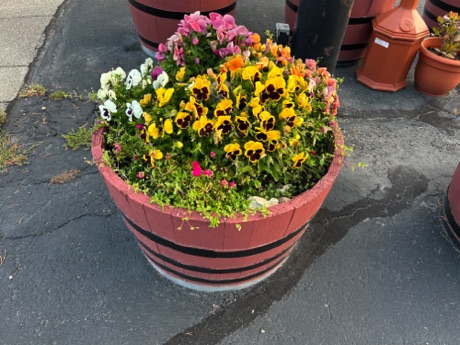 flowers on West Yellowstone street